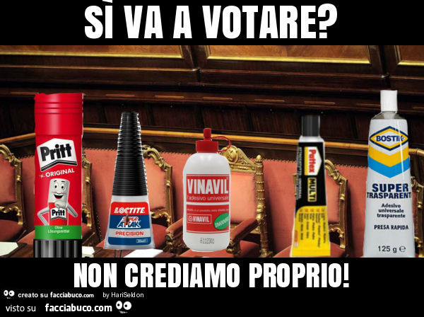 2230235420-si-va-a-votare-non-crediamo-proprio-satira_b.jpg