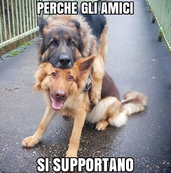 AMICI .jpg