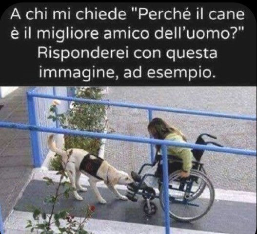 amico.jpg