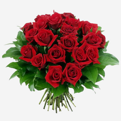 bouquet_rose_rosse_maxi.jpg