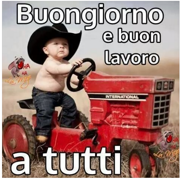 Buon giorno e buon Laboro .PNG