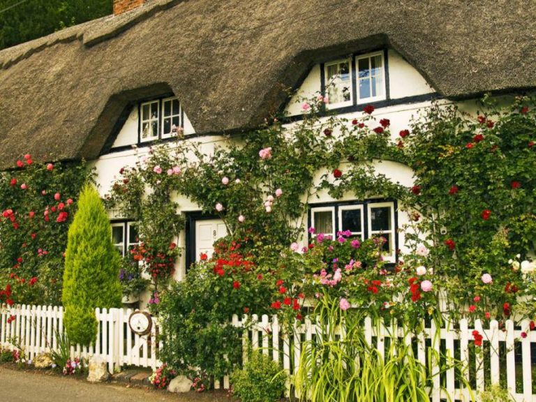 english-cottage-garden-wallpaper-rpol-hd-wallpapers-amazing-photos-cool-images-1024x768-768x576.jpg