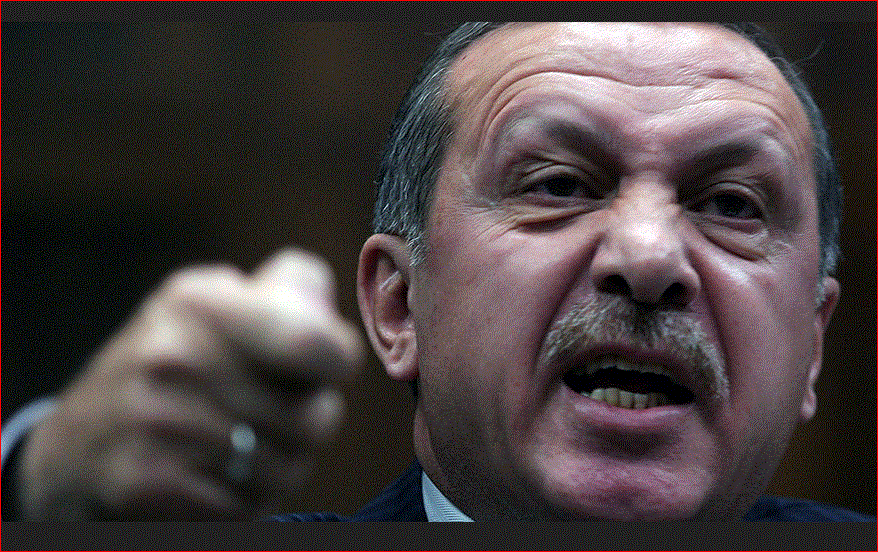 Erdogan rassicurante.GIF