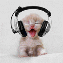 gatto-simpatico-musica.gif