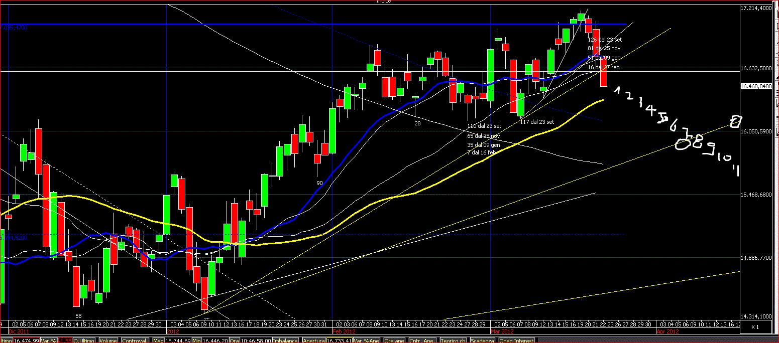 intermedio daily.GIF