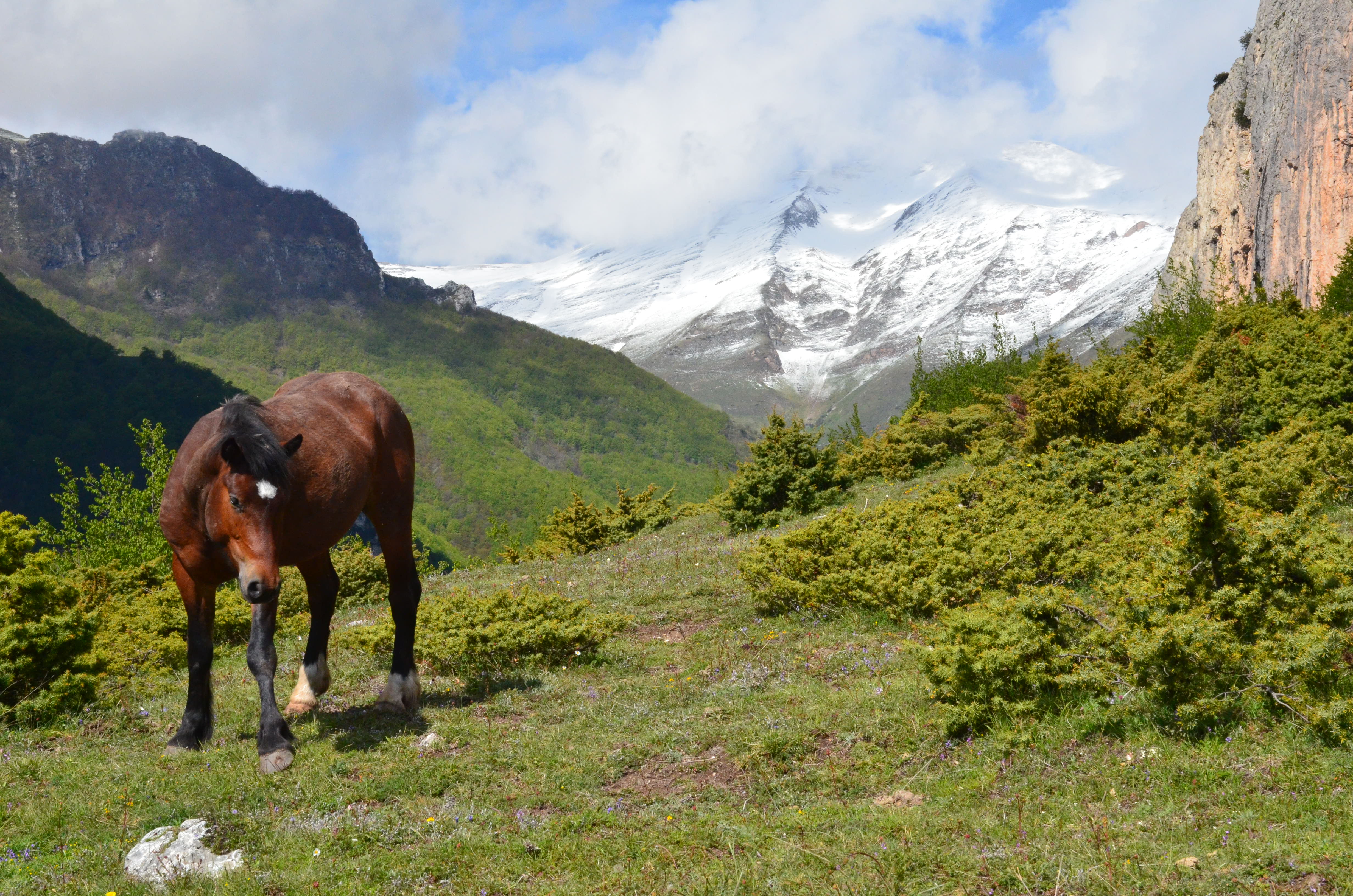 Madonna dell'Ambro - Rifugio Amandola  17 maggio 2019 046.JPG