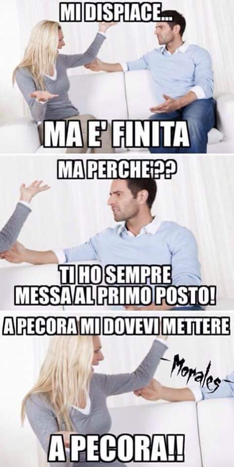 Pecora.jpg