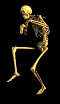 scheletro.gif