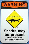 sharks may be present.jpg