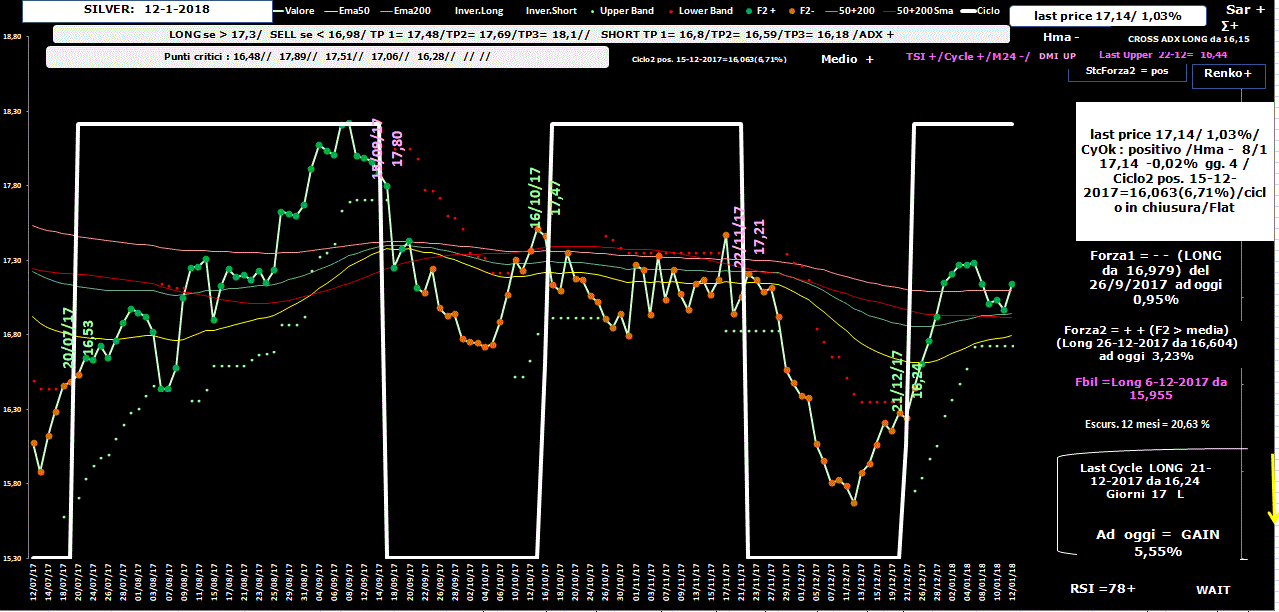 Silver-Allig-12-01-18.GIF