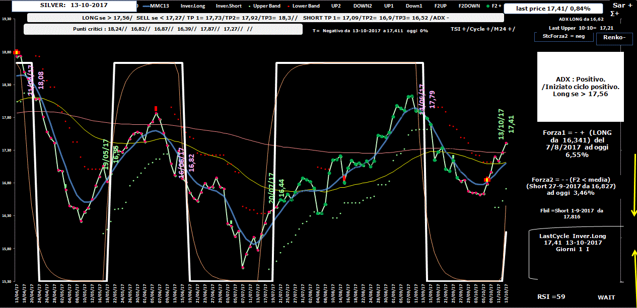 Silver-Allig-13-10-17.GIF