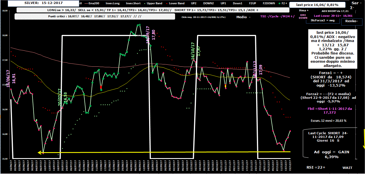 Silver-Allig-15-12-17.GIF