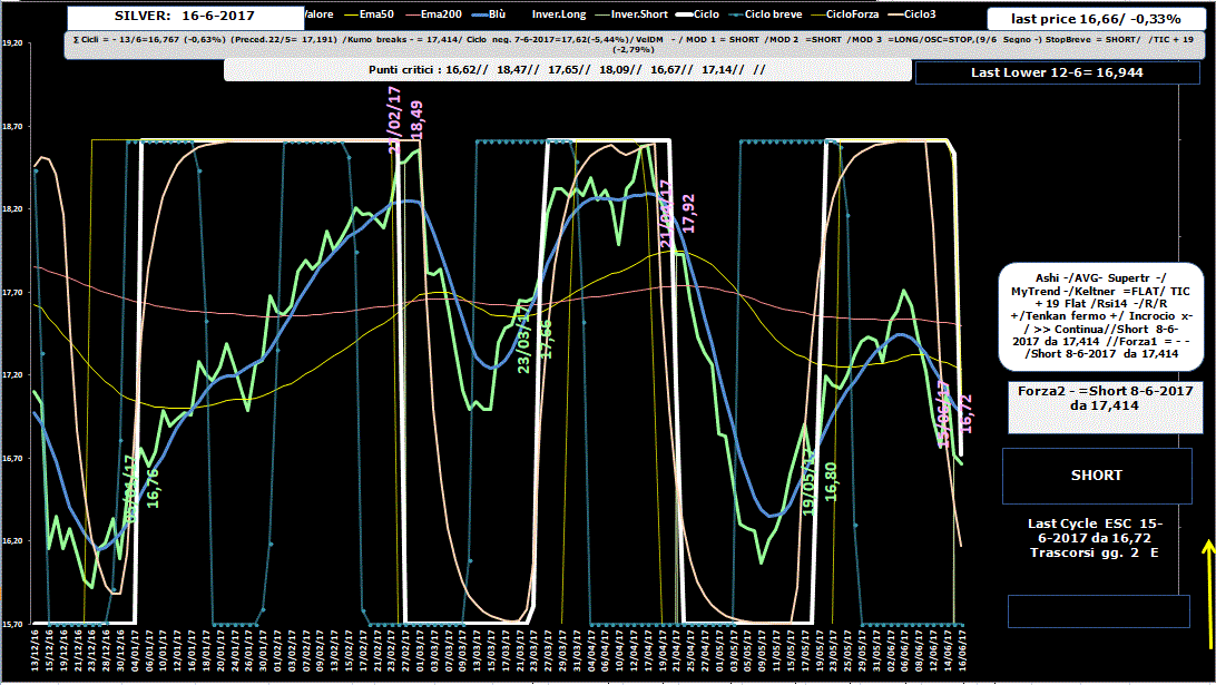 Silver-Allig-16-06-17.GIF