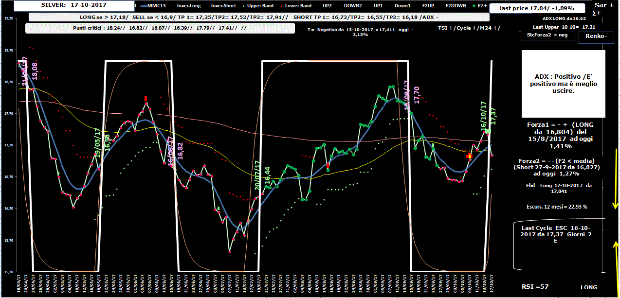 Silver-Allig-17-10-17.GIF