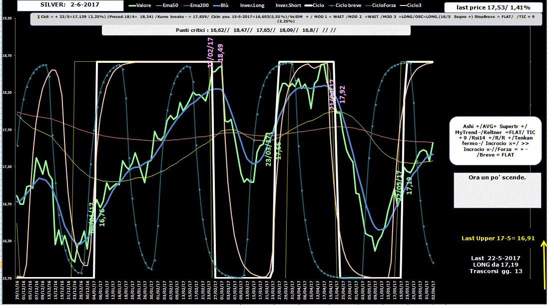 Silver-Allig-2-06-17.GIF