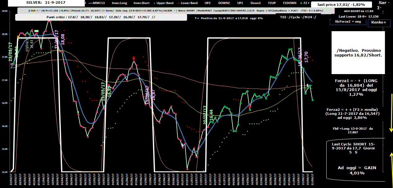 Silver-Allig-21-09-17.GIF