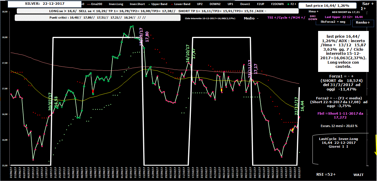 Silver-Allig-22-12-17.GIF