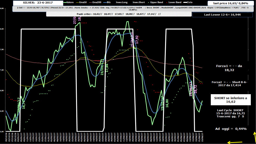 Silver-Allig-23-06-17.GIF