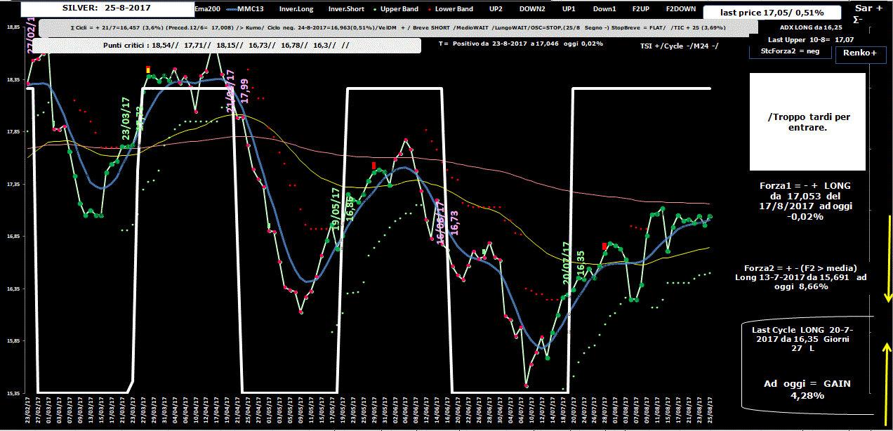 Silver-Allig-25-08-17.GIF