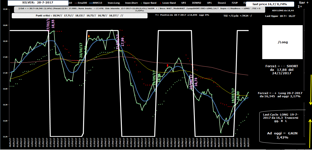 Silver-Allig-27-07-17.GIF