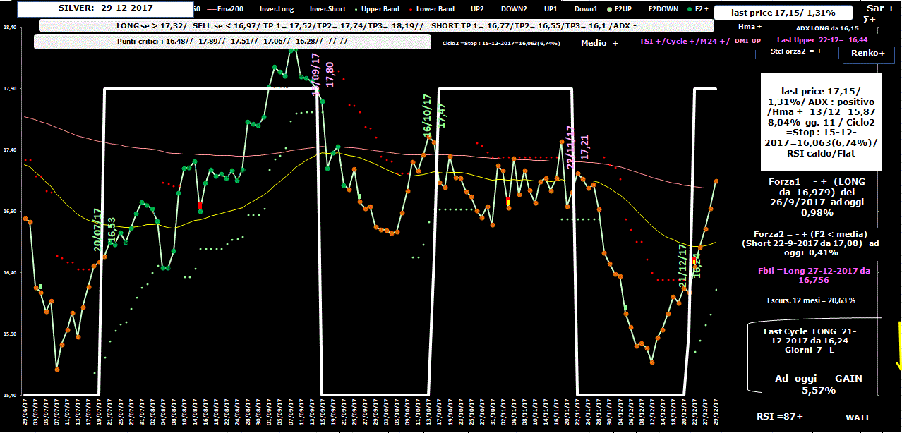 Silver-Allig-29-12-17.GIF