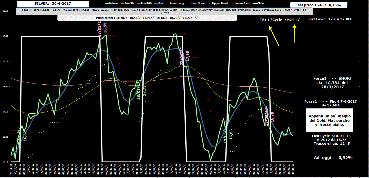 Silver-Allig-30-06-17.GIF