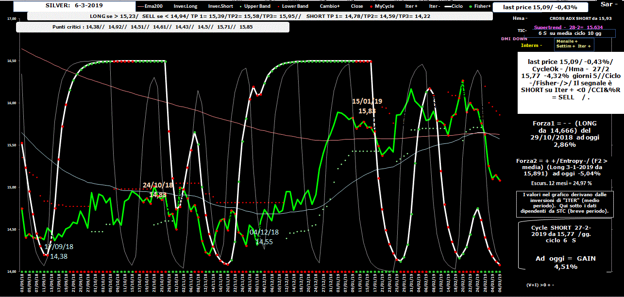 Silver-Allig-6-03-19.GIF