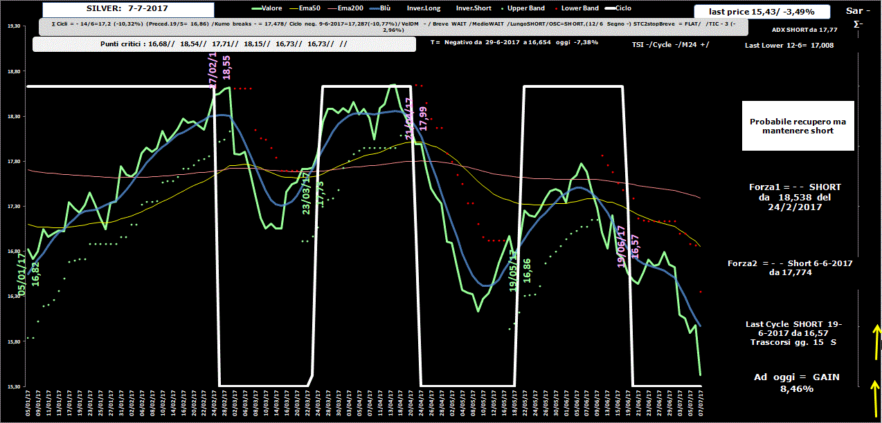 Silver-Allig-7-07-17.GIF