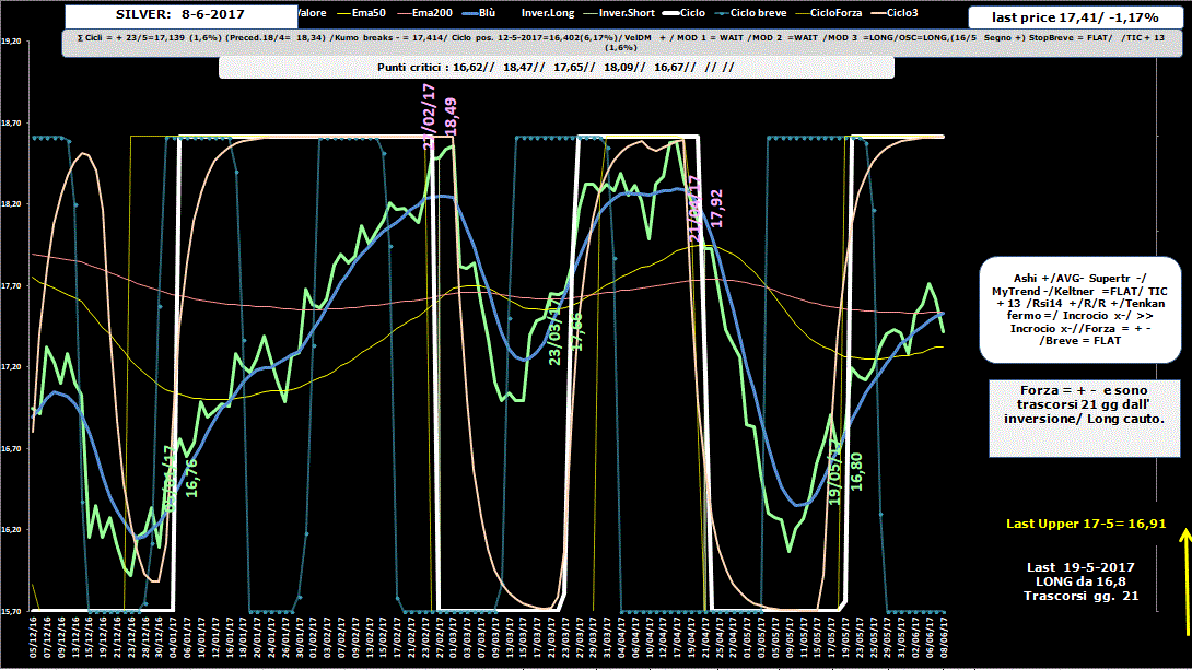 Silver-Allig-8-06-17.GIF