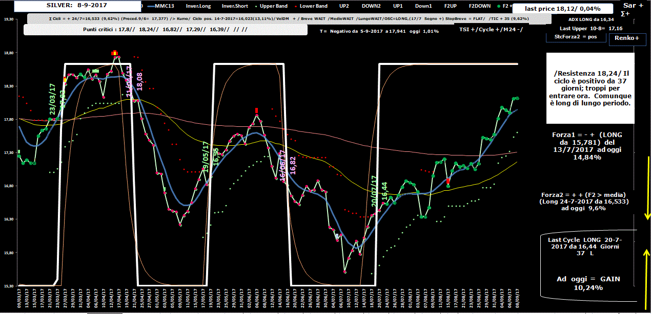 Silver-Allig-8-09-17.GIF