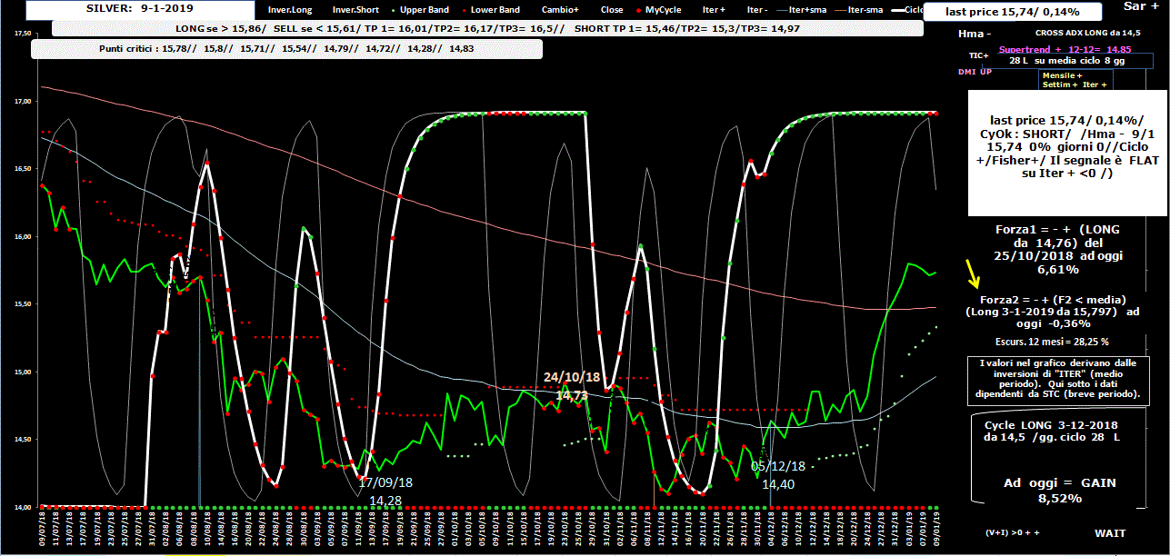 Silver-Allig-9-01-19.GIF