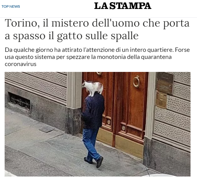 stampa.PNG