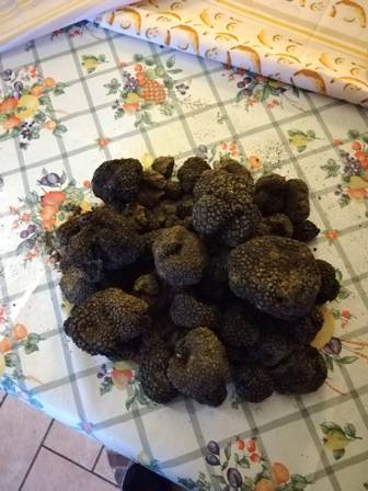 tartufo nero.jpg