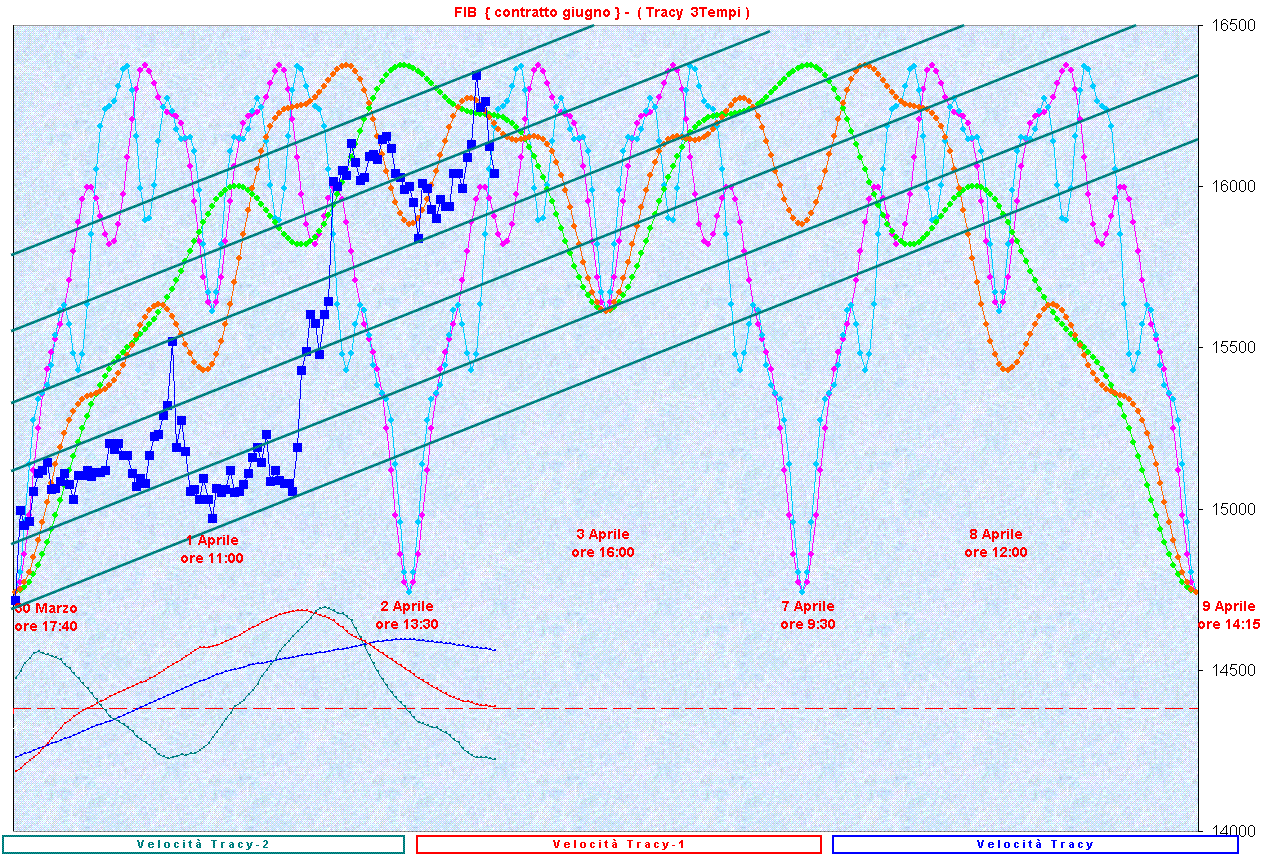 Tracy-1_3gg.GIF