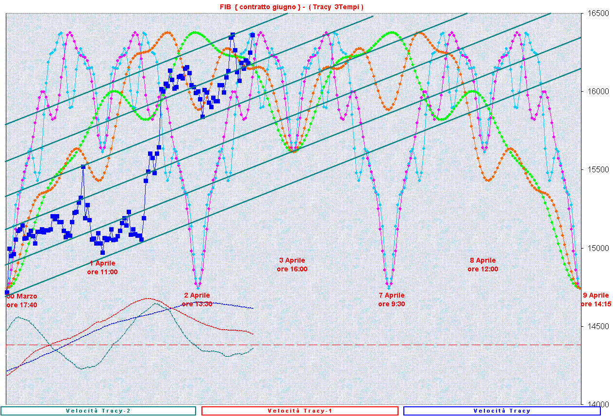 Tracy+1_3T.GIF