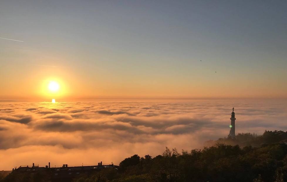 trieste nebbia.jpg