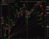 NYSI AL 20-08.gif