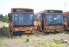 mami_bus_015.jpg