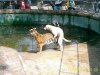 cane.jpg