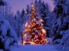 albero_di_natale.jpg