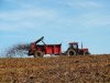 4594935-agricoltura--topdressing-con-letame.jpg