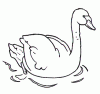 cigno.gif