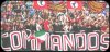 commandos.jpg