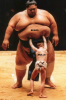 sumo_market.png