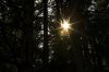 _MG_9036.jpg