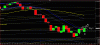 indice daily.GIF