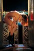 marketa-janska-playboy-04.jpg