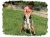 CAPRA GIRGENTANA 1.JPG