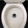 phoneinthetoilet.jpg