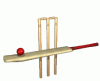 cricket.gif